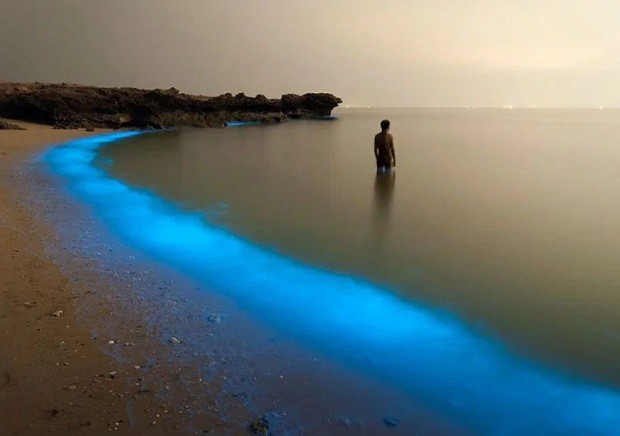 Bioluminescência Em Larak - Pooyan Shadpoor - melhores fotos da National Geographic